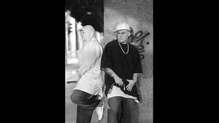 Fler - Schwererziehbar 2005 