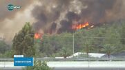 Израел обяви извънредно положение заради горските пожари
