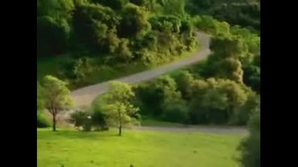 Не е за хора със слаби сърца ... [+18]