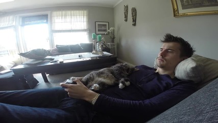 Котка не позволява на стопанина си да играе на видео игри