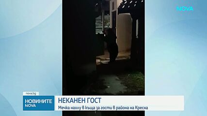 Мечка нахлу в къща за гости в Кресна