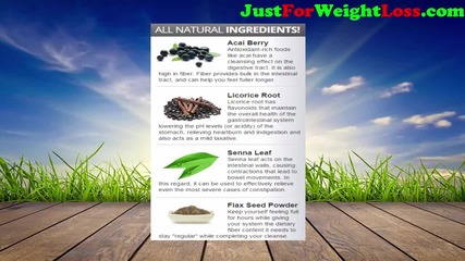 Pure Life Cleanse Review – Do Not Buy Pure Life Cleanse Until You Watch This Video