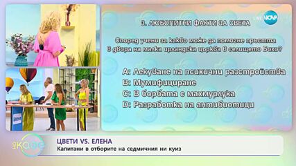 Чудото в двора на ирландска църква: Как шепа пръст може да спаси животи