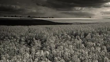 Empyrium - Songs Of Moors and Misty Fields (w lyrics)