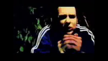 Korn - twist