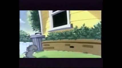 Tom And Jerry Kids Show 5