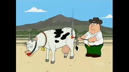 Family Guy : Луда Крава :D