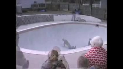 И 1 000 000 пъти да го гледате пак ще се разсмеете