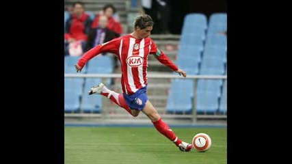 fernando torres