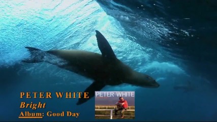 Peter White - Bright Hd