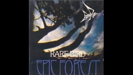 Rare Bird - Turn it all around