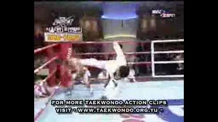 Taekwondo vs Kick Box