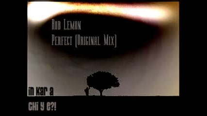 Roblemon - Perfect (original Mix)