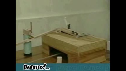 Много Яко Домино!!!