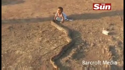 Бебе си играе със змии 
