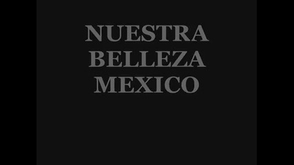 Nuestra Belleza Mexico 2010 