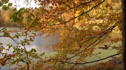 Natalie Cole - Autumn Leaves