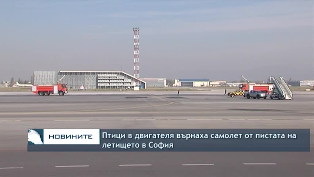 Птици в двигателя върнаха самолет от пистата на летището в София