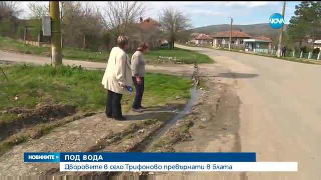 Дворовете в село Трифоново - превърнати в блата