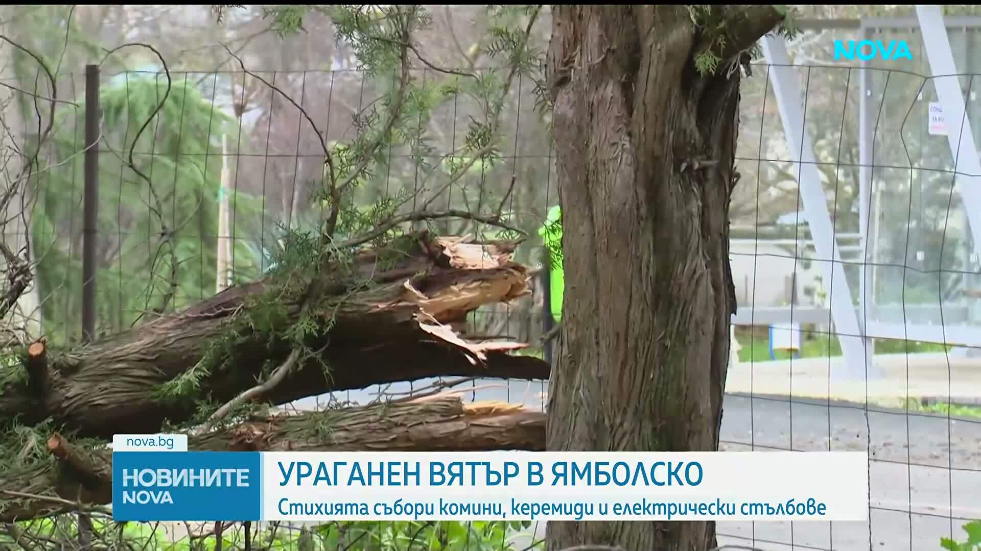Ураганен вятър нанесе щети в Янбулско
