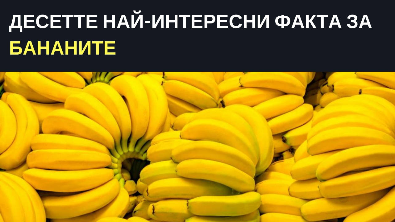Десетте най-интересни факта за бананите