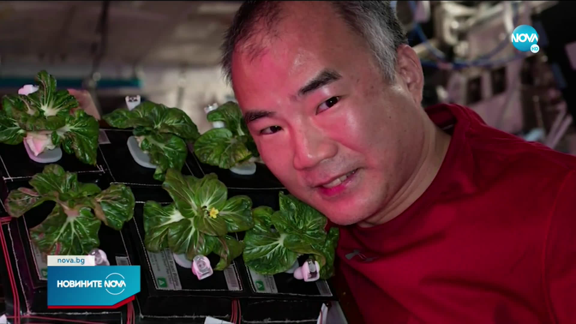 ГРАДИНА В КОСМОСА: Астронавт отгледа два вида зеленчуци на МКС
