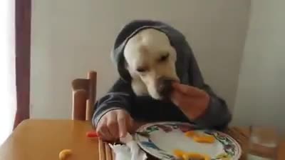Да нахраниш кучето си по супер забавен начин ..