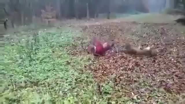 Смях! Това Не е Просто Куче, а Истинско Оръжие