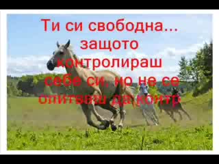 За Едно Голямо Приятелство