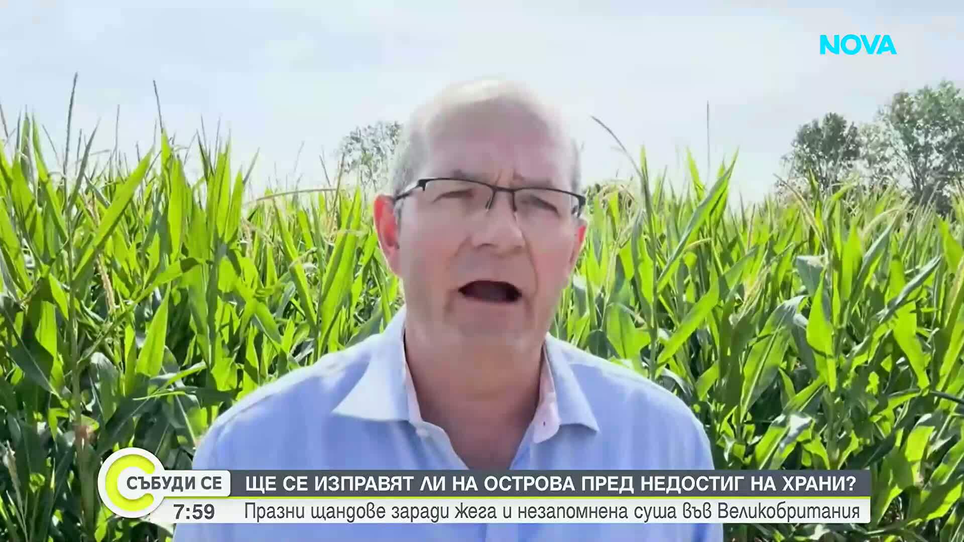 Празни щандове заради жегата и сушата във Великобритания