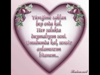 Askim Seni Seviyorum....flv