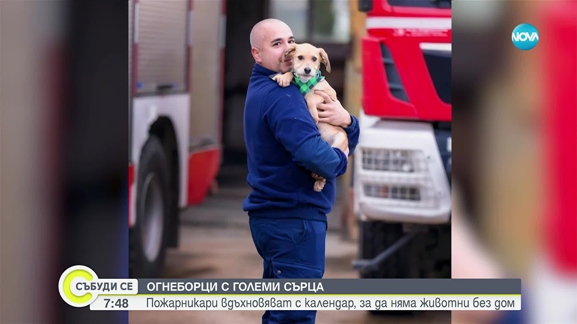 12 огнеборци от Видин и 12 изоставени кучета в един календар с кауза (ВИДЕО)