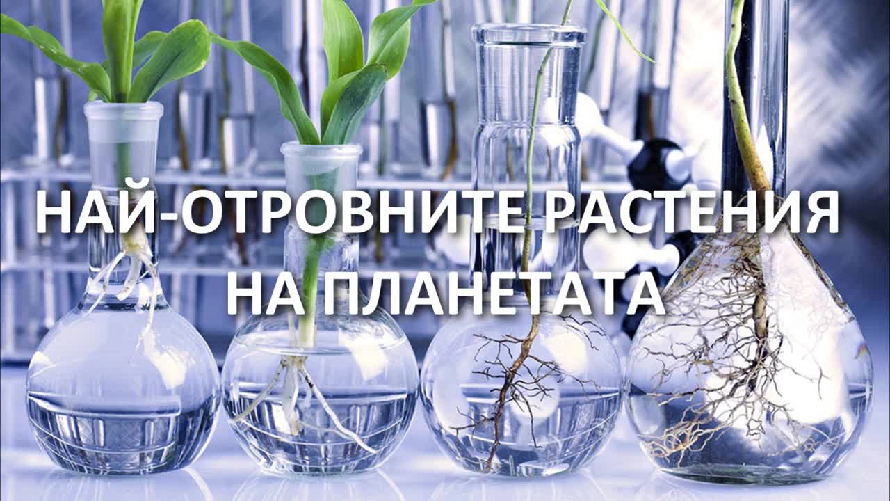 Най-опасните растения на планетата