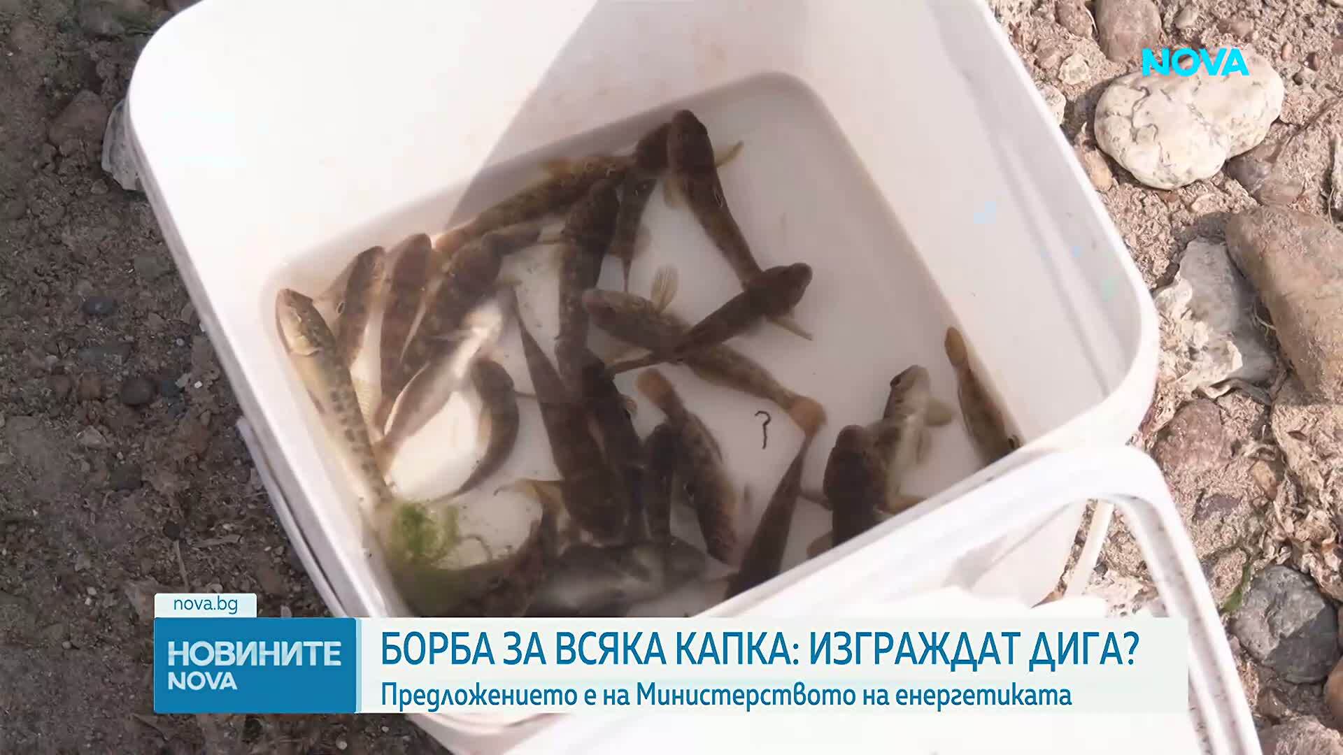 Енергийният министър обяви планове за дига в Дунав при АЕЦ „Козлодуй”