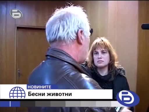 БТВ: Бясна Котка Нападна Трима Души В Шумен