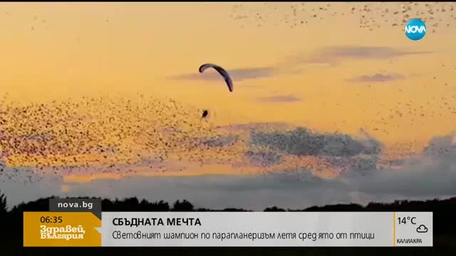 Световен шампион по парапланеризъм летя сред ято от птици