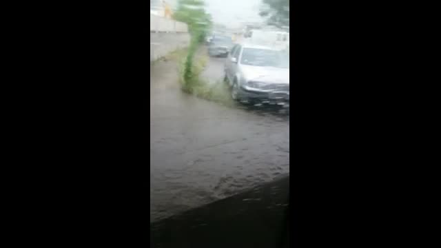 Порой в Русе