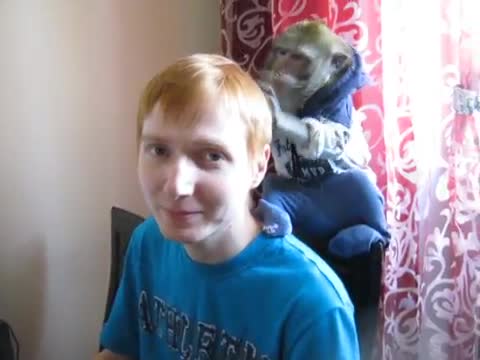 Хубаво е да имаш такова маймунче!
