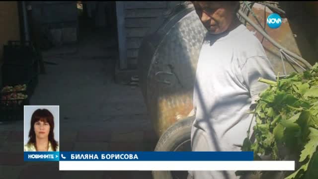 Стрелба в Лом, има двама ранени