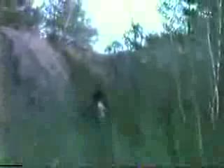 Учените Казват: Това Шокиращо Видео Е Реалност