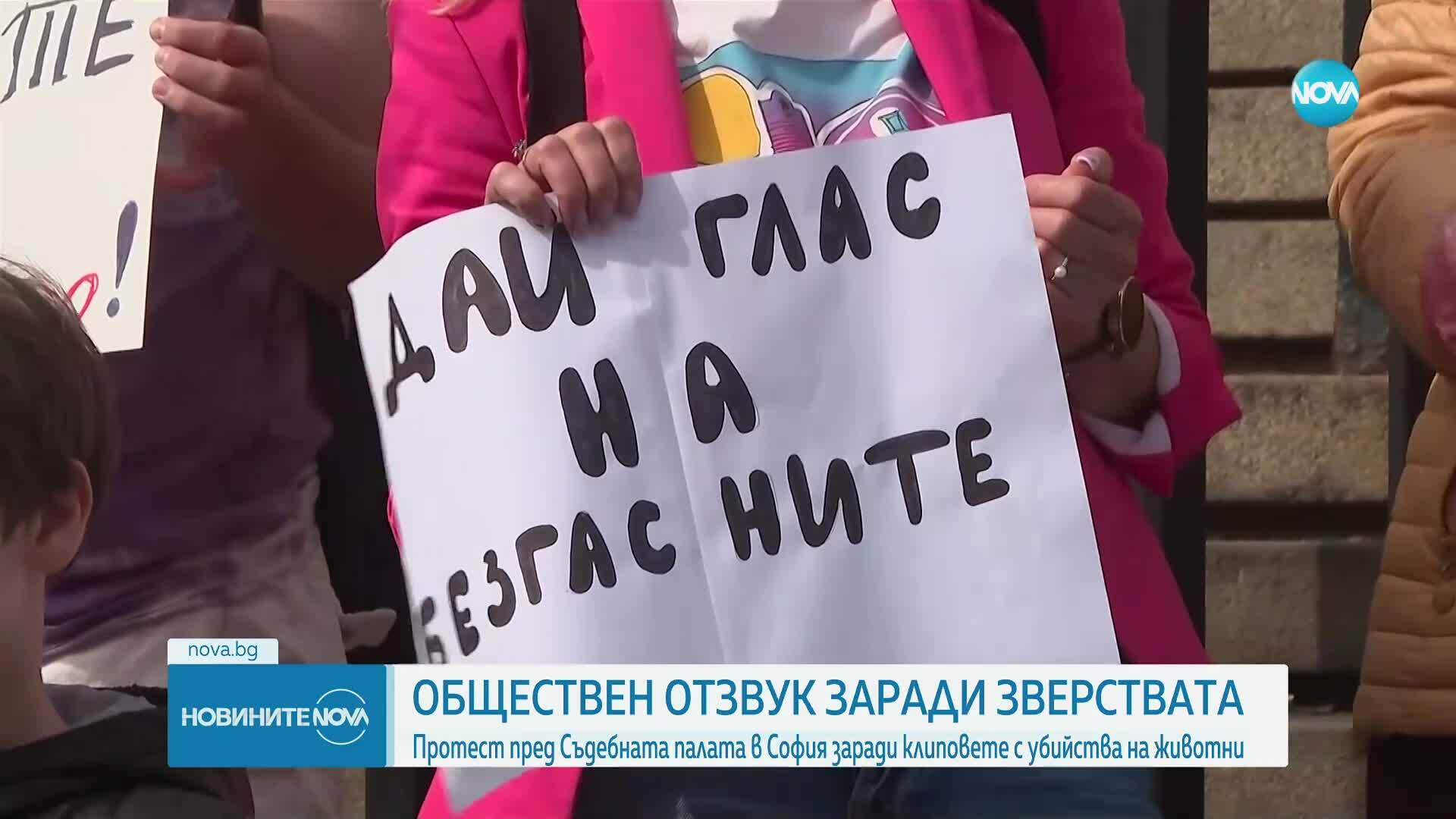 Протест пред Съдебната палата в София срещу жестокостта към животни