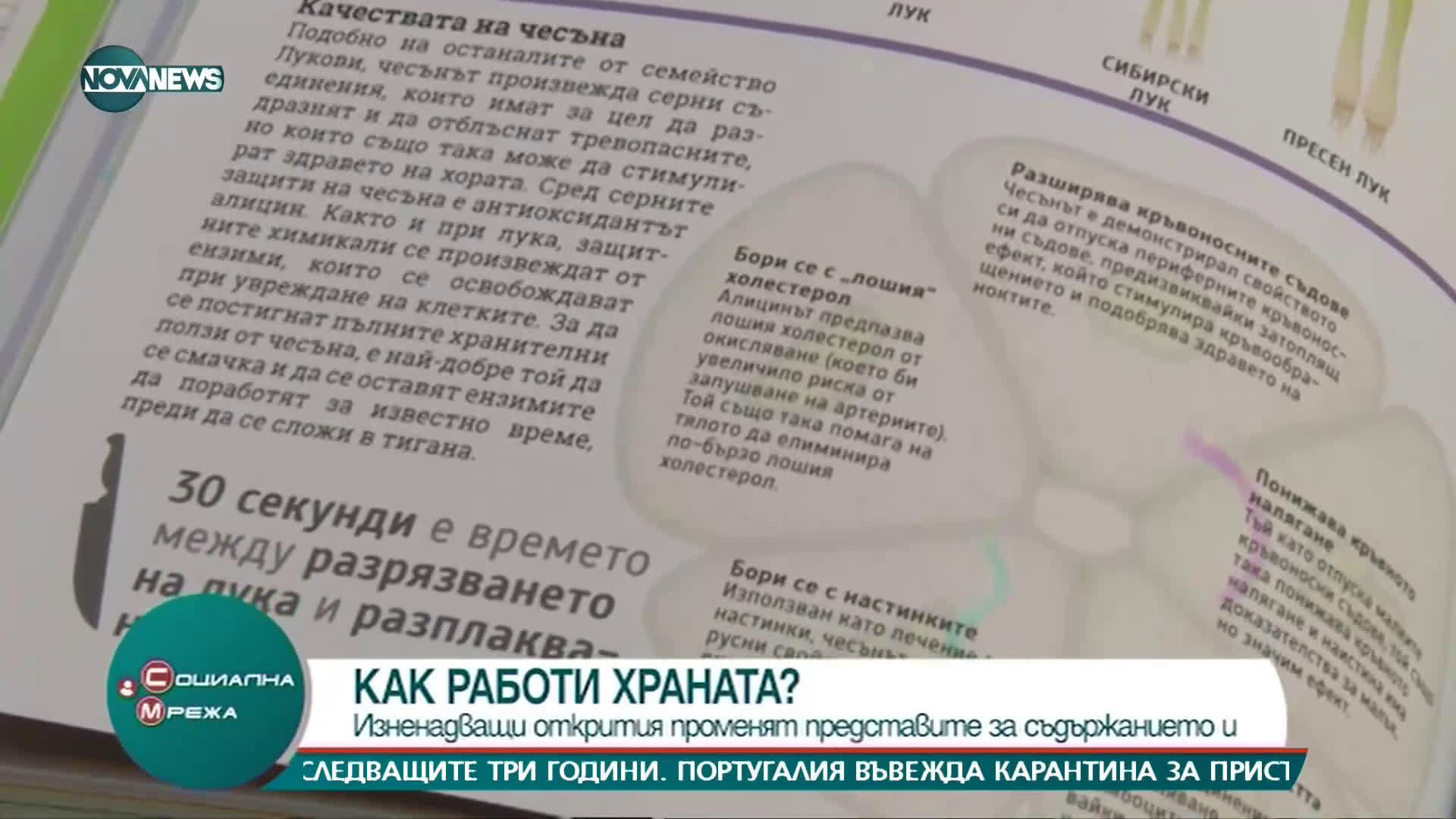 "Социална мрежа": Изненадващи открития за съдържанието на храната