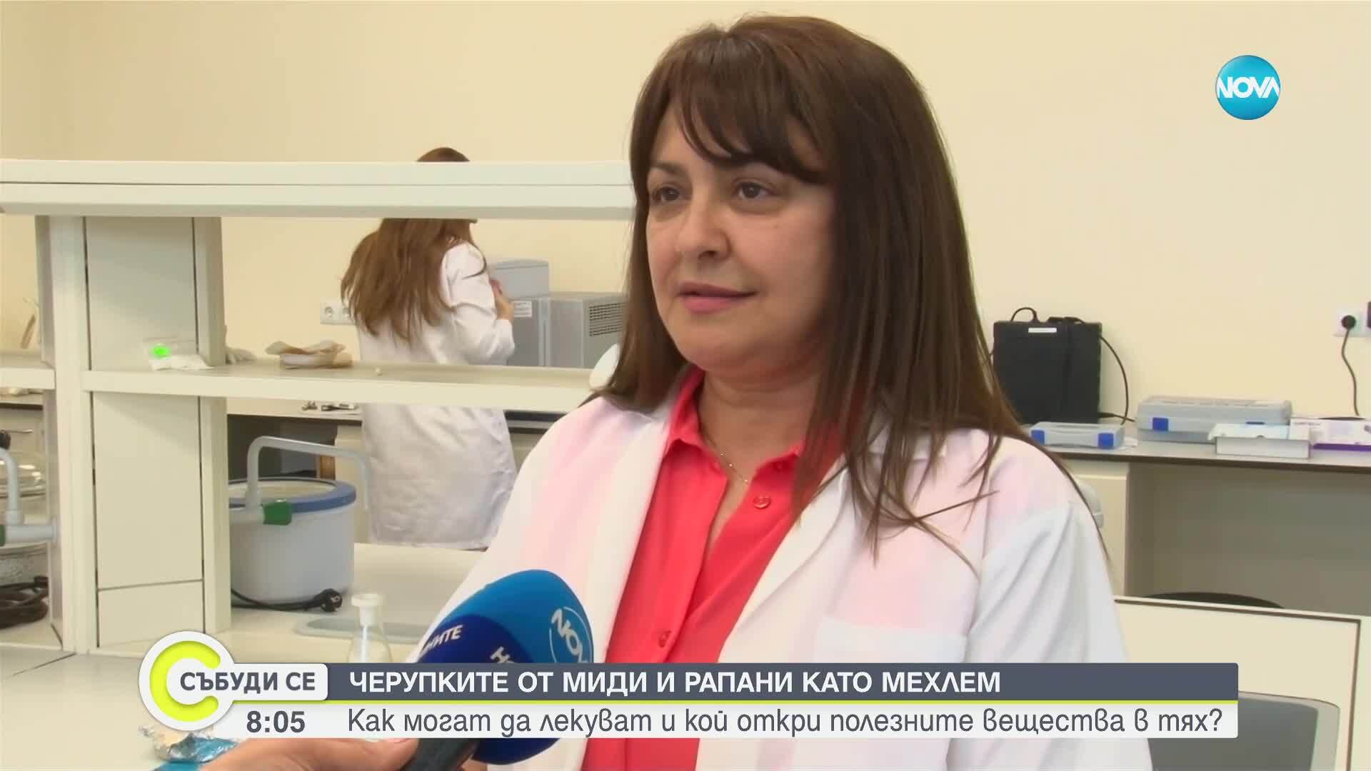 Бургаски учени доказаха, че мидените черупки могат да лекуват рани