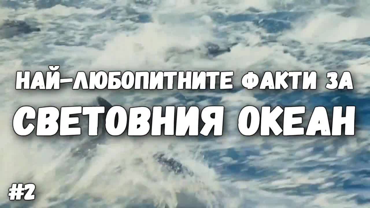 Най-любопитните факти за Световния океан - част 2