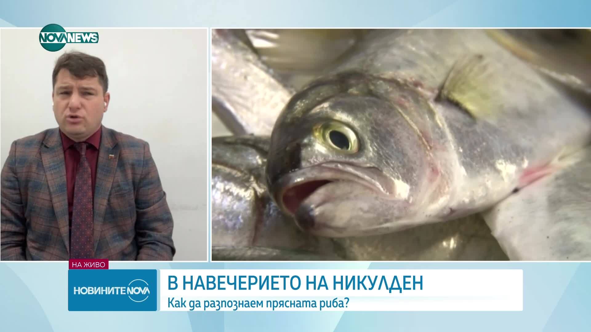 Преди Никулден: Българската риба изчезва от пазара