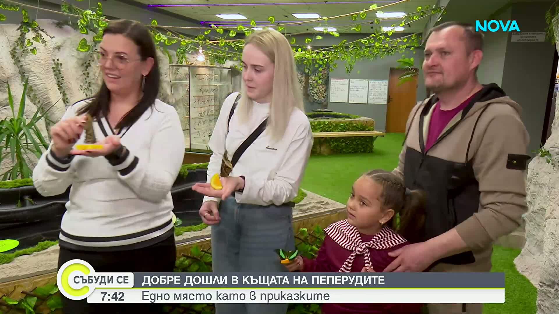 Най-красивите и най-редките: Къщата на пеперудите, която ни пренася в чудния свят на насекомите