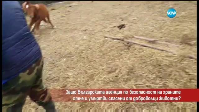 Защо Агенцията по безопасност на храните умъртви животни?
