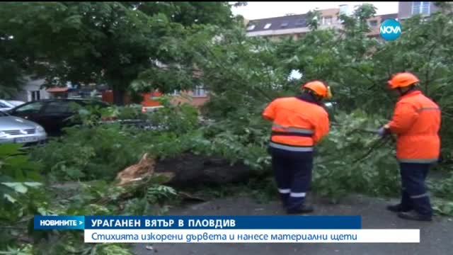 Силна буря и ураганен вятър в Пловдив