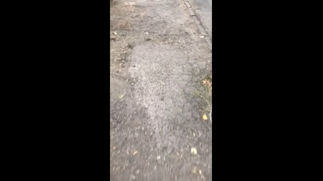 "Моята новина": Тротоари