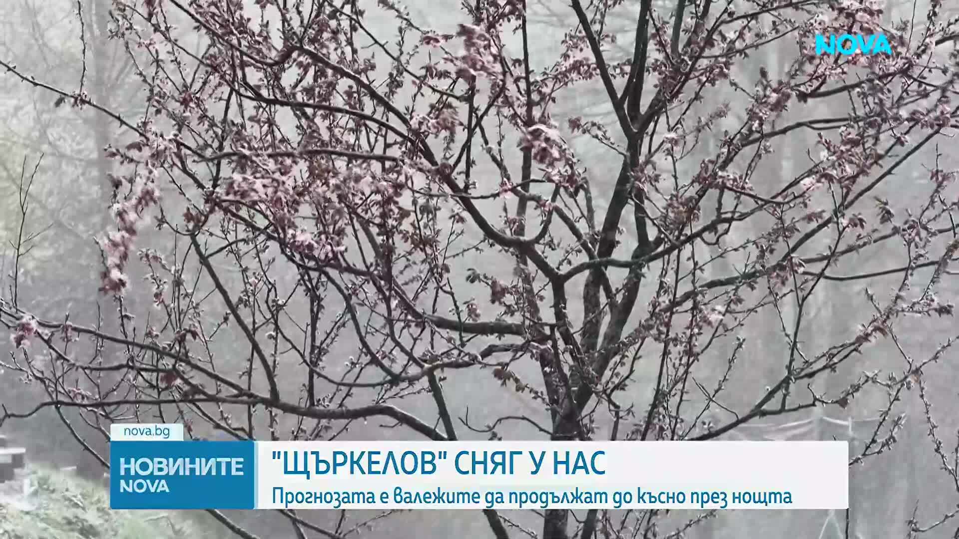 Сняг заваля в Троянско и на проходите Петрохан и Превала